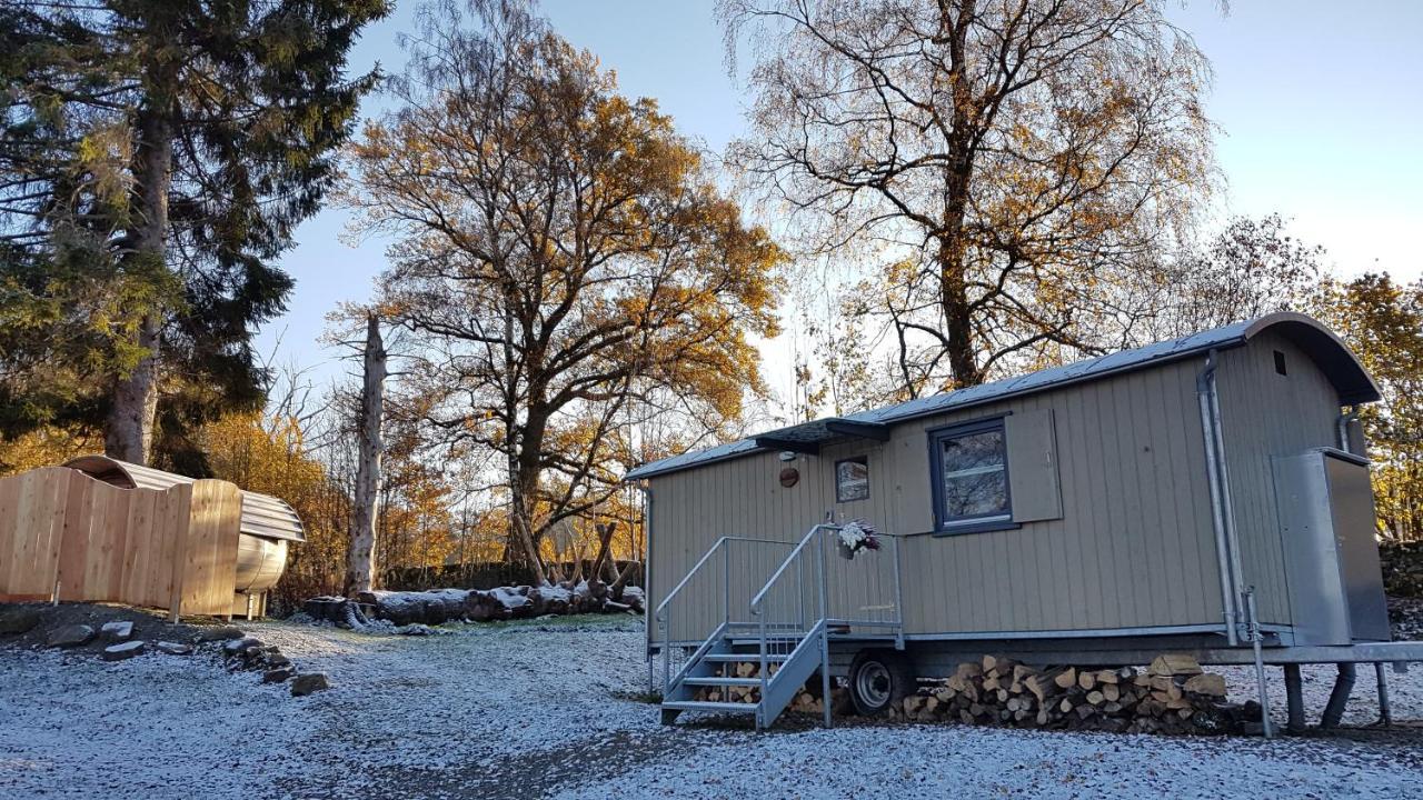 Wagenburg-Solling Lägenhet Neuhaus  Exteriör bild