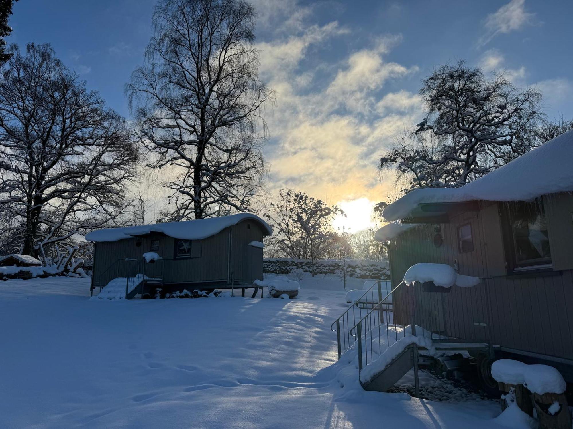 Wagenburg-Solling Lägenhet Neuhaus  Exteriör bild