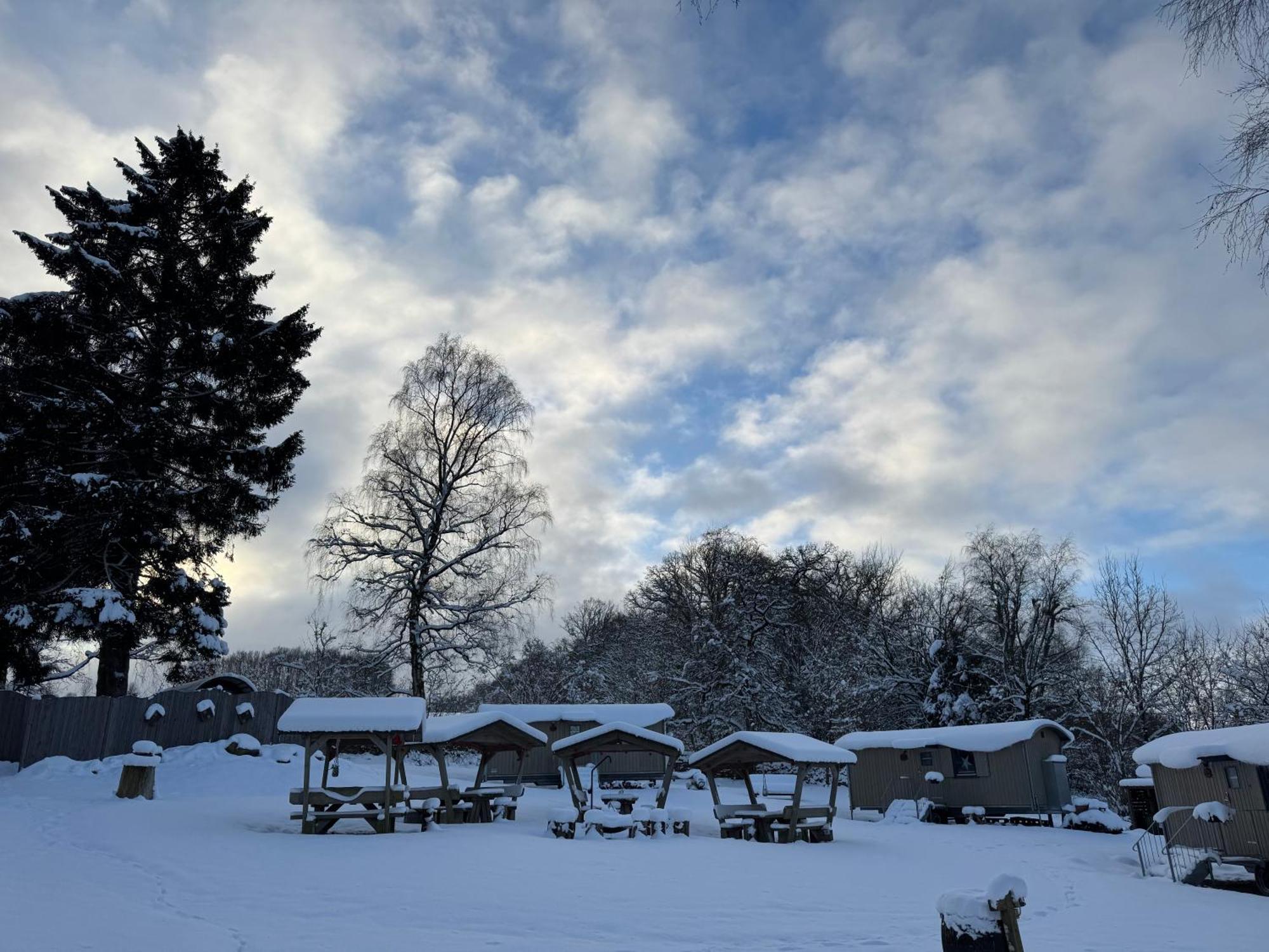 Wagenburg-Solling Lägenhet Neuhaus  Exteriör bild